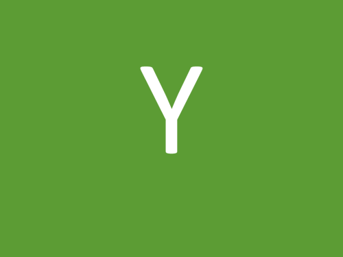 Youth TEst